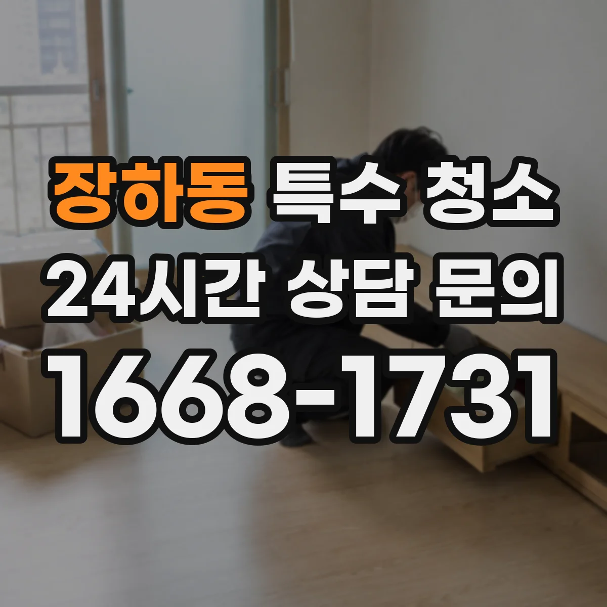 장하동 특수 청소