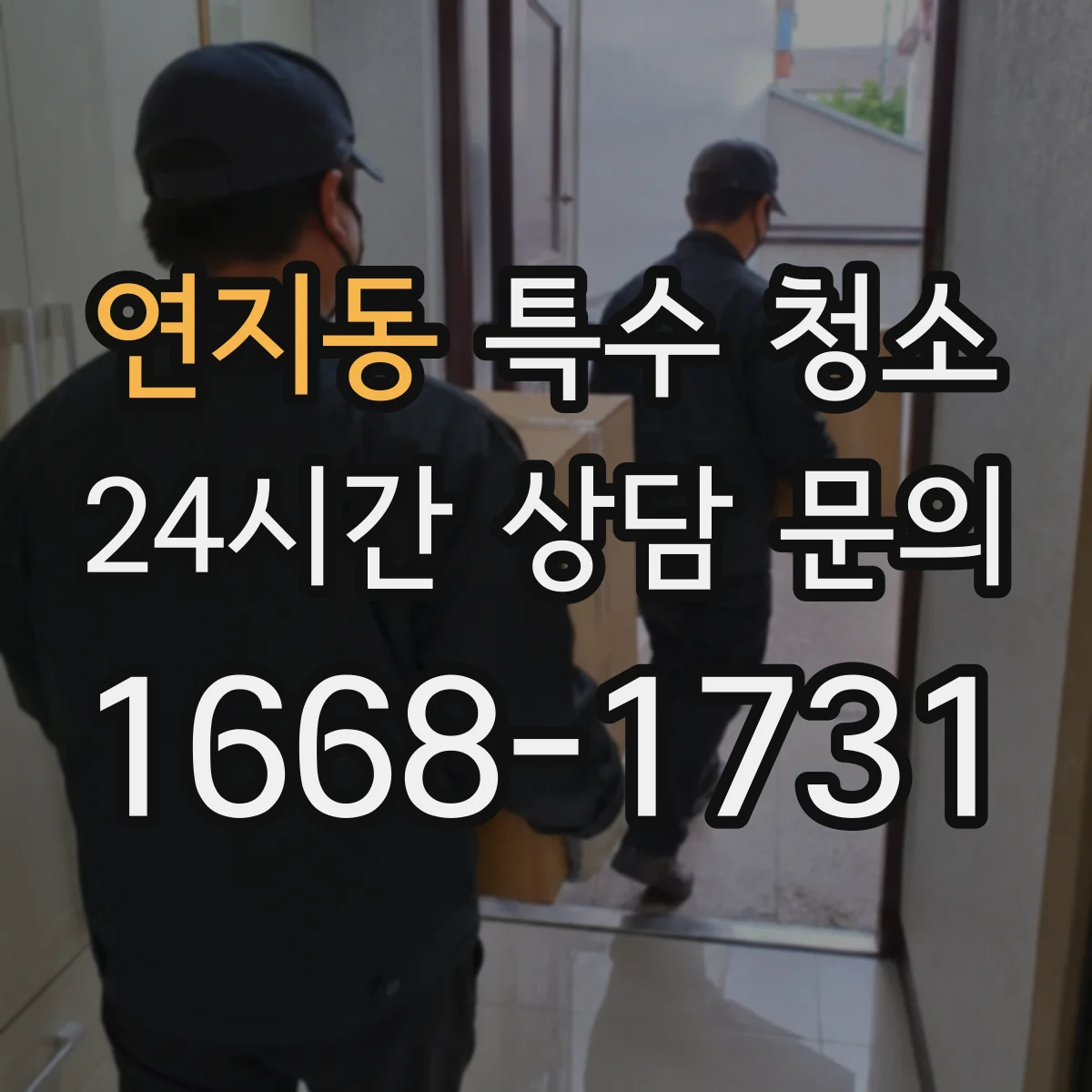 연지동 특수 청소