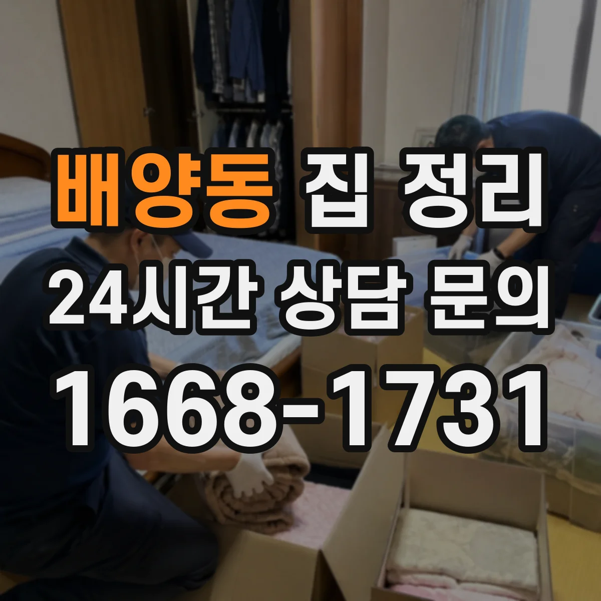 배양동 집 정리
