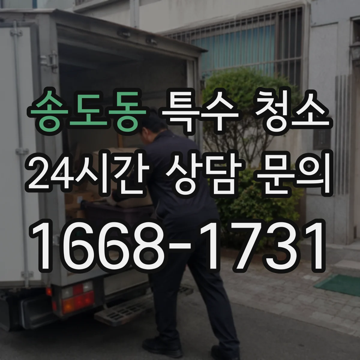 송도동 특수 청소