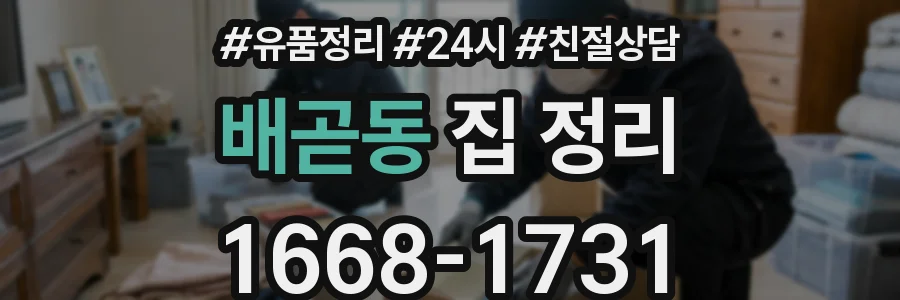 배곧동 집 정리