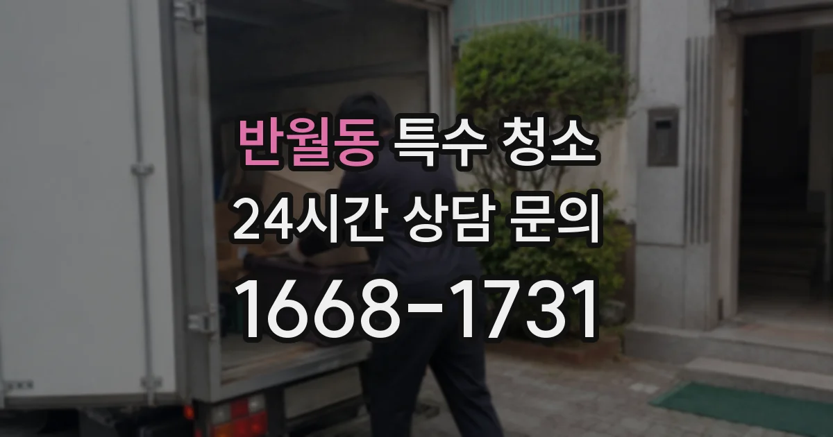 반월동 특수 청소
