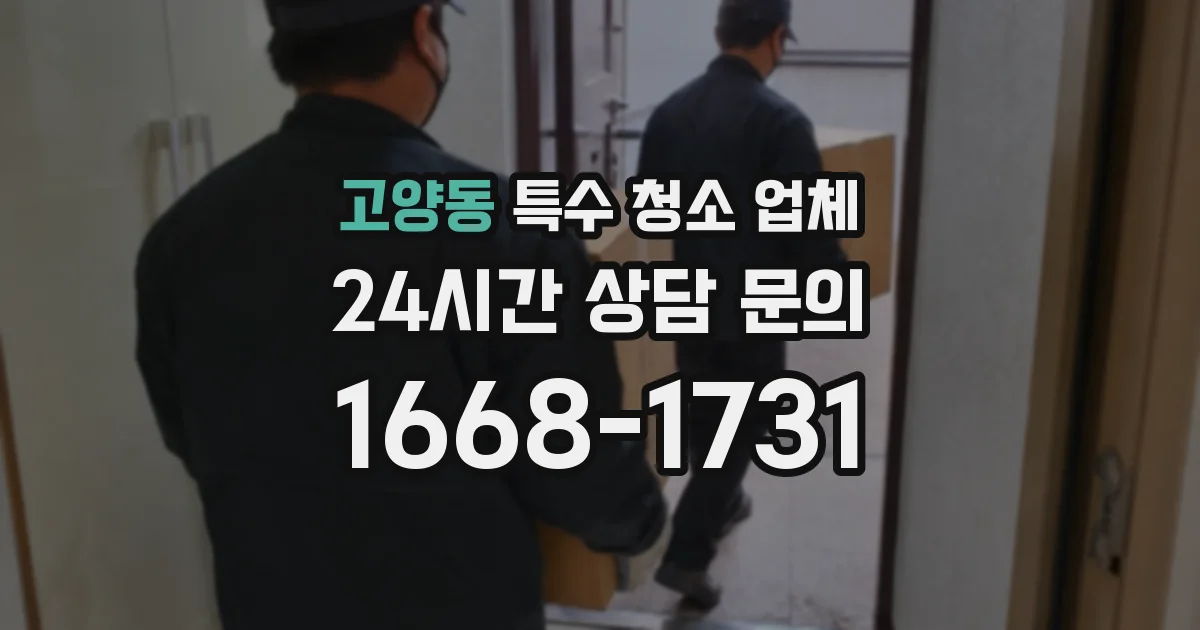 고양동 특수 청소 업체