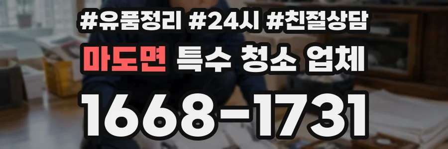 마도면 특수 청소 업체