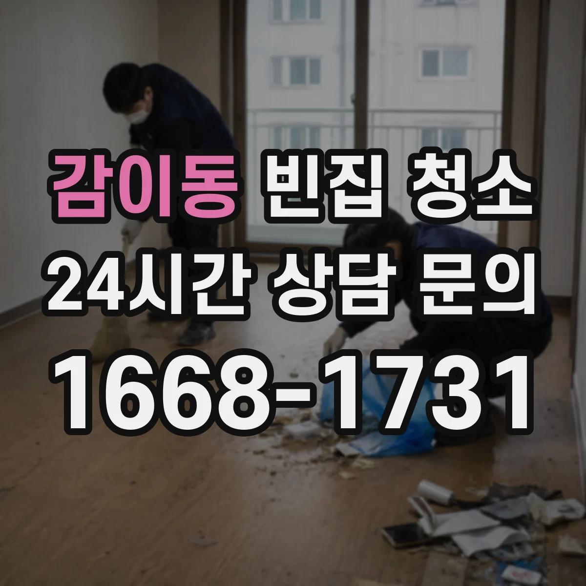 감이동 빈집 청소