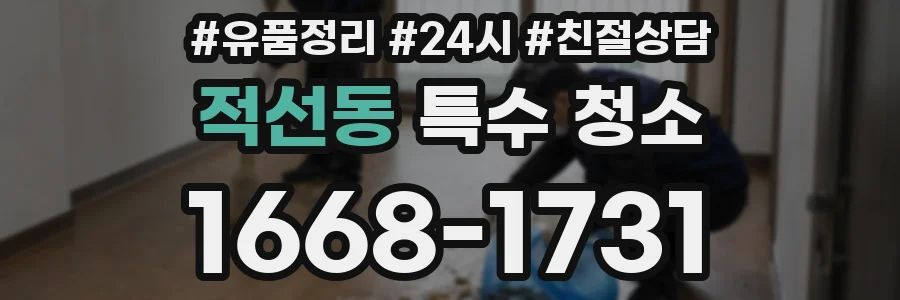 적선동 특수 청소