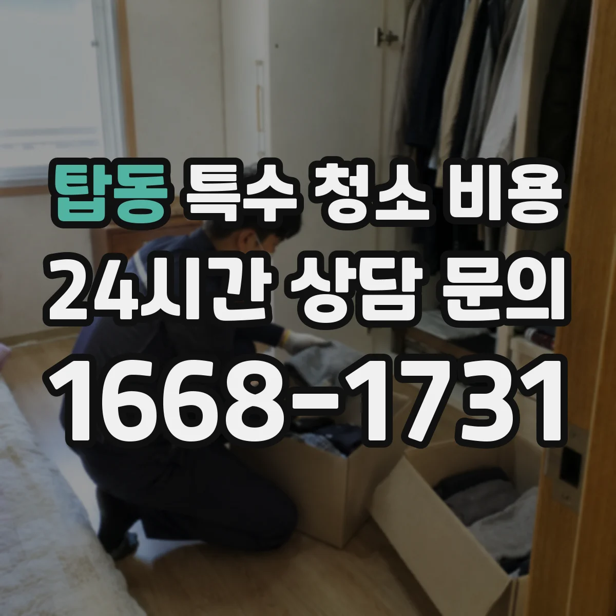 탑동 특수 청소 비용