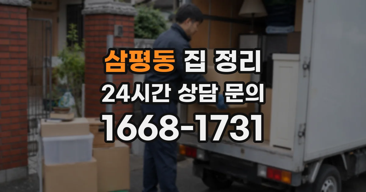 삼평동 집 정리