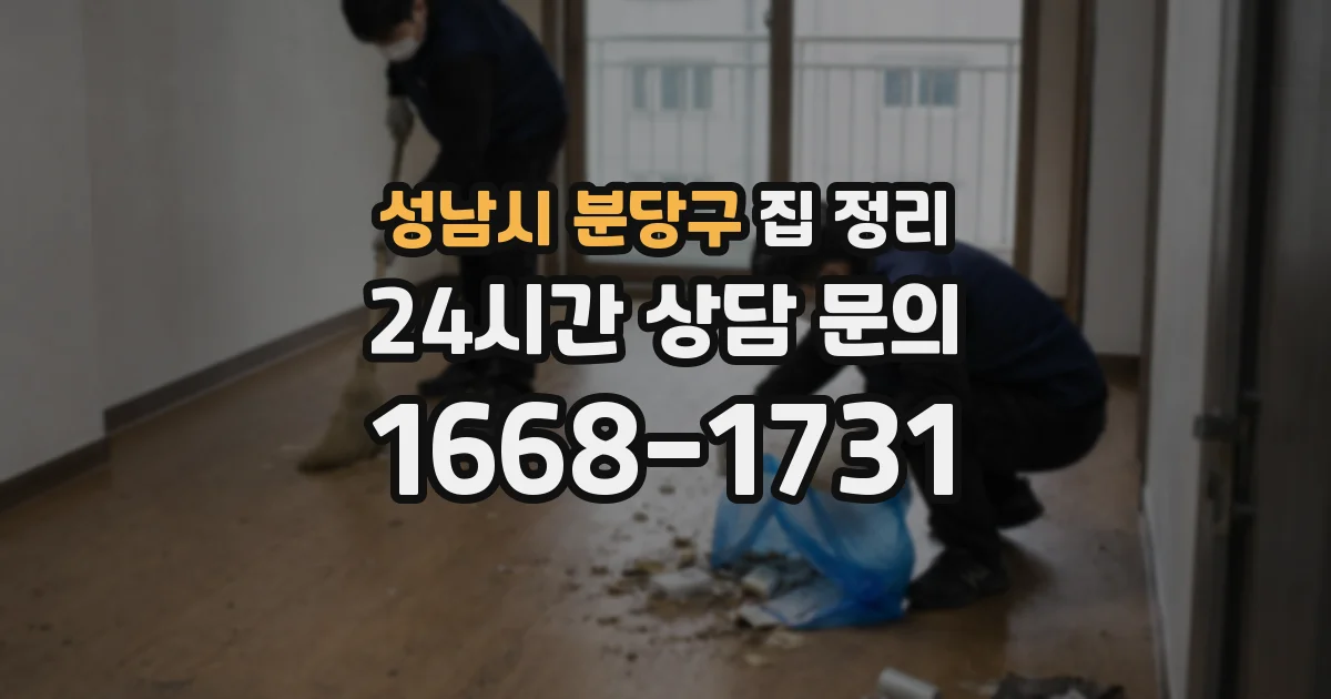 성남시 분당구 집 정리