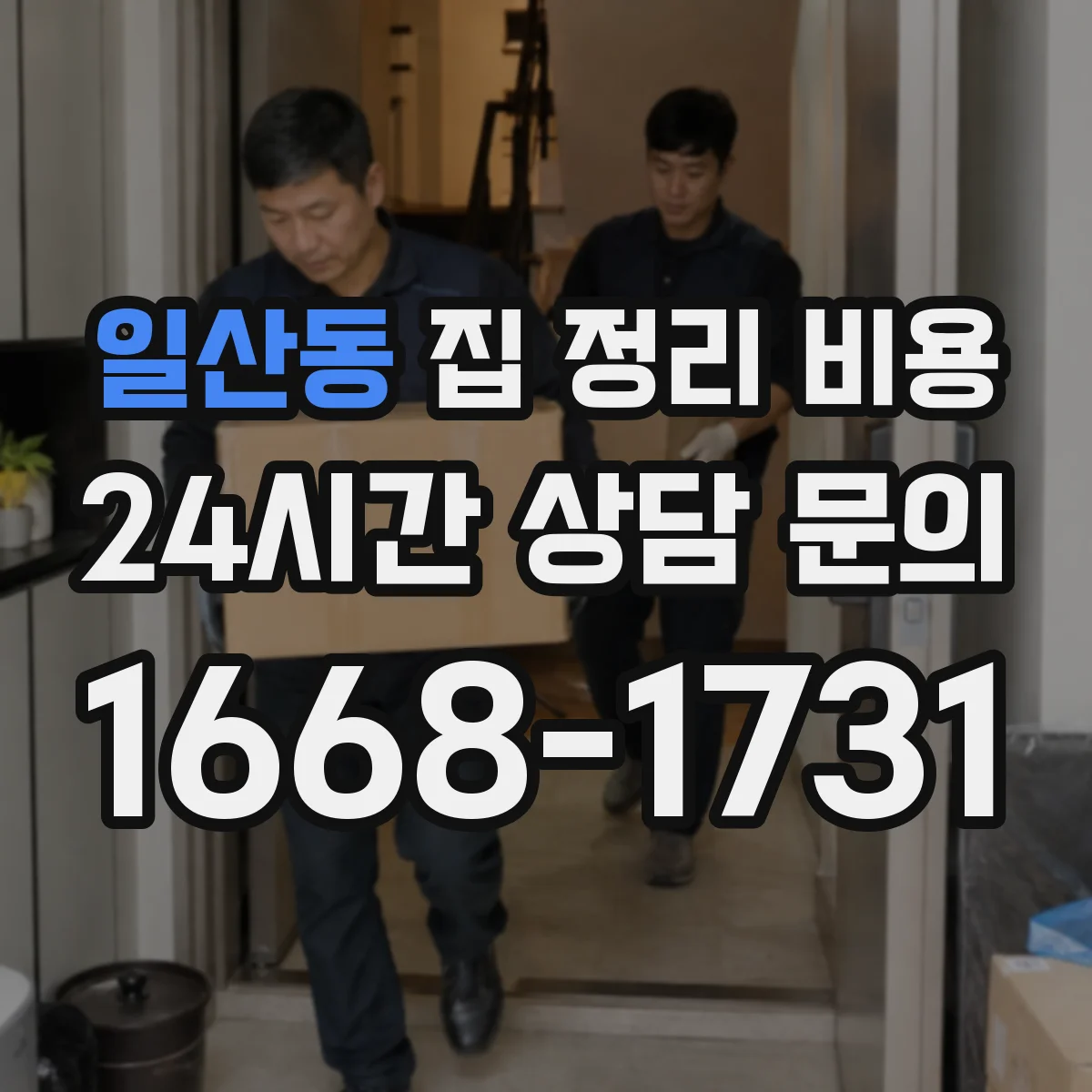 일산동 집 정리 비용