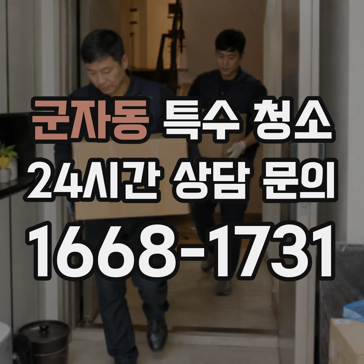 군자동 특수 청소