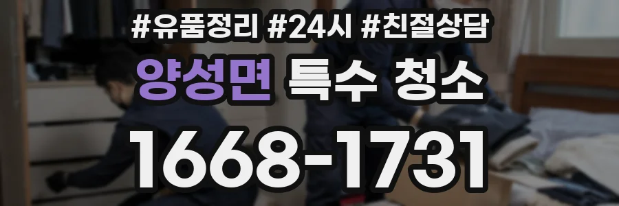 양성면 특수 청소