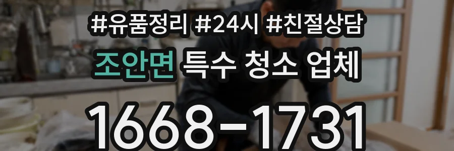 조안면 특수 청소 업체