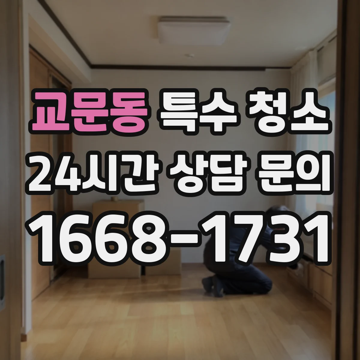 교문동 특수 청소