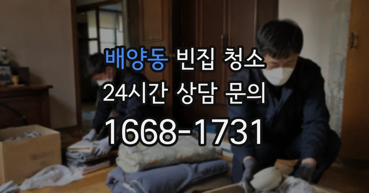 배양동 빈집 청소