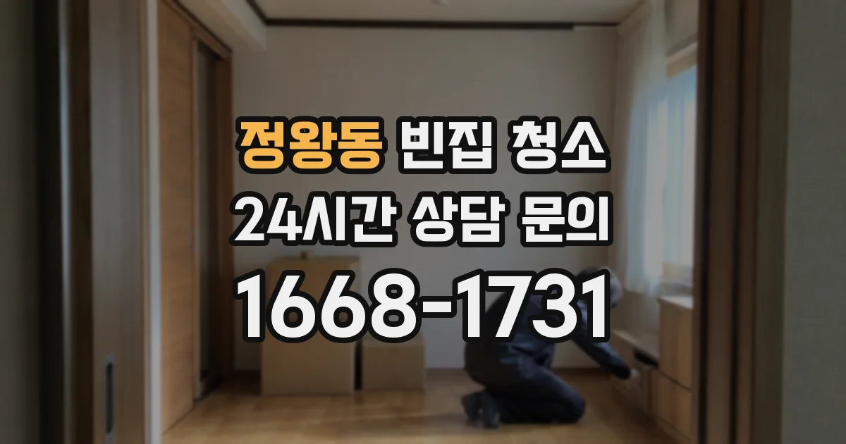 정왕동 빈집 청소