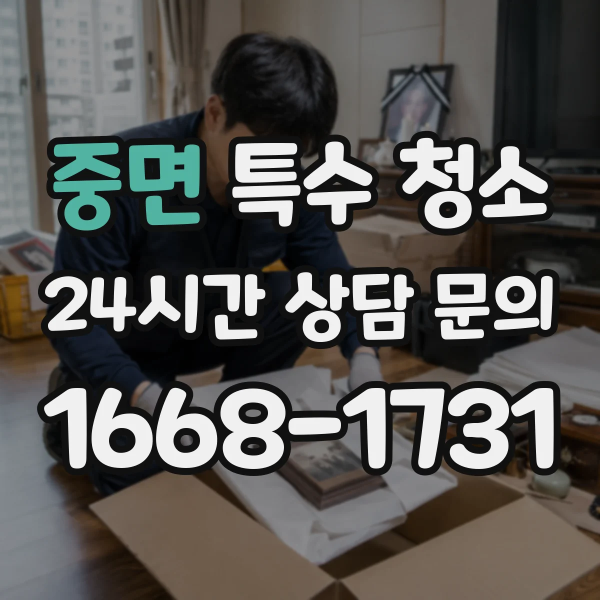 중면 특수 청소