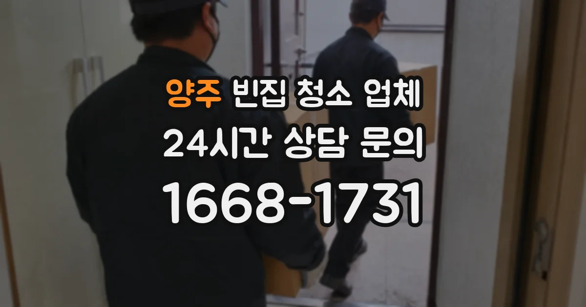 양주 빈집 청소 업체