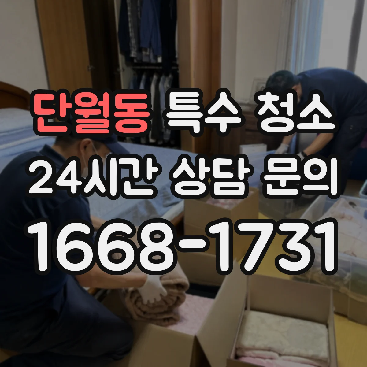 단월동 특수 청소
