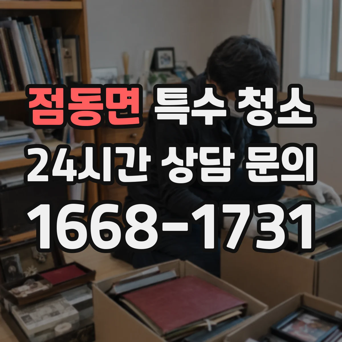 점동면 특수 청소