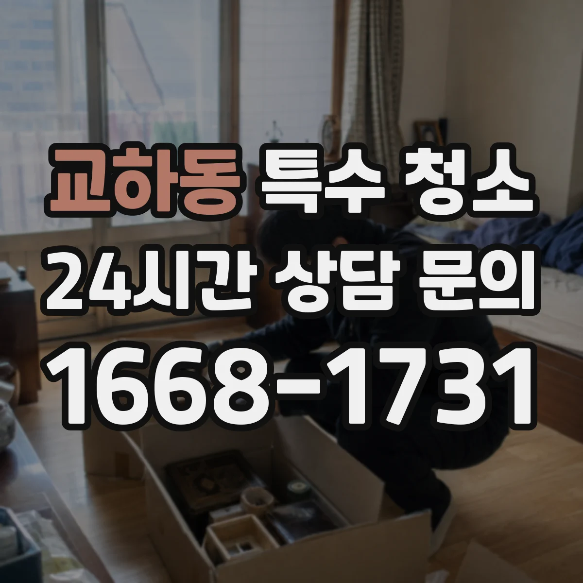 교하동 특수 청소