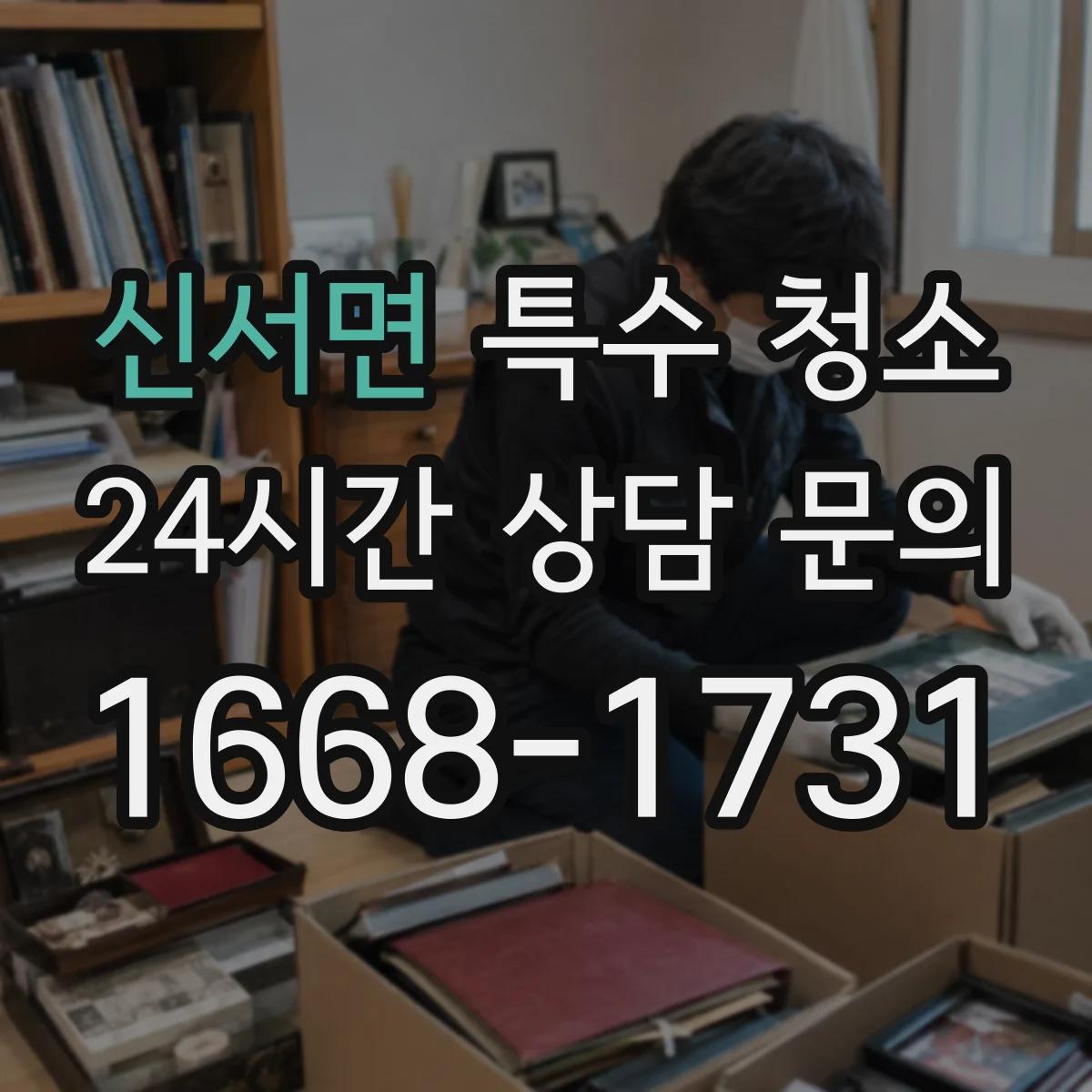 신서면 특수 청소
