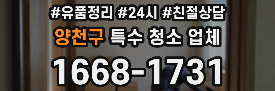 양천구 특수 청소 업체