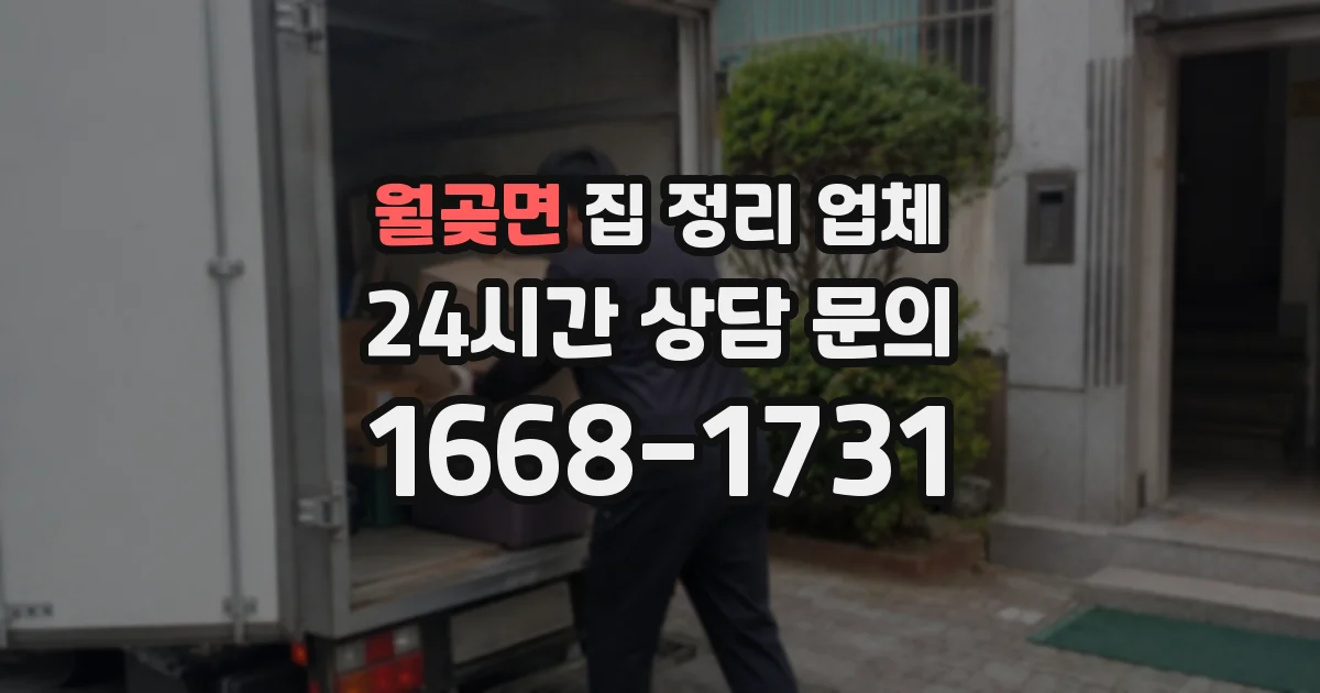 월곶면 집 정리 업체