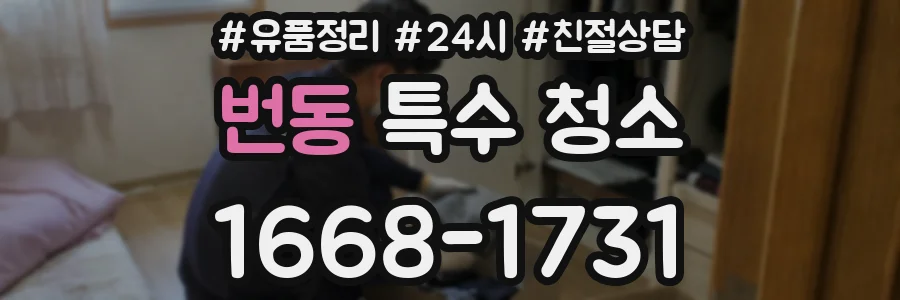번동 특수 청소