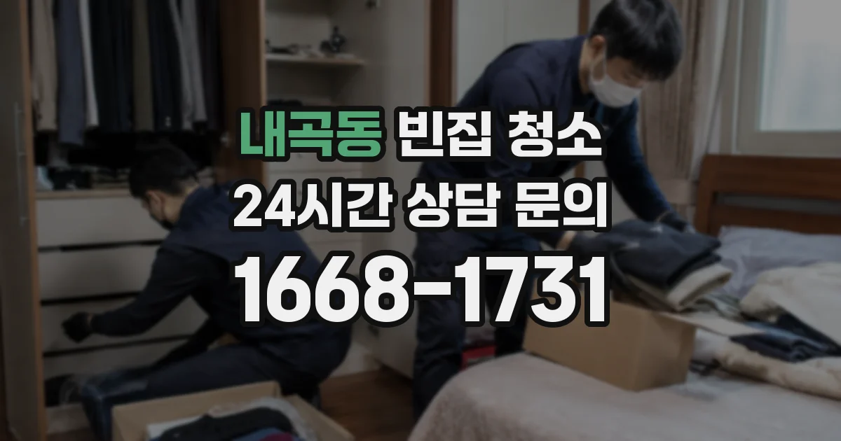내곡동 빈집 청소