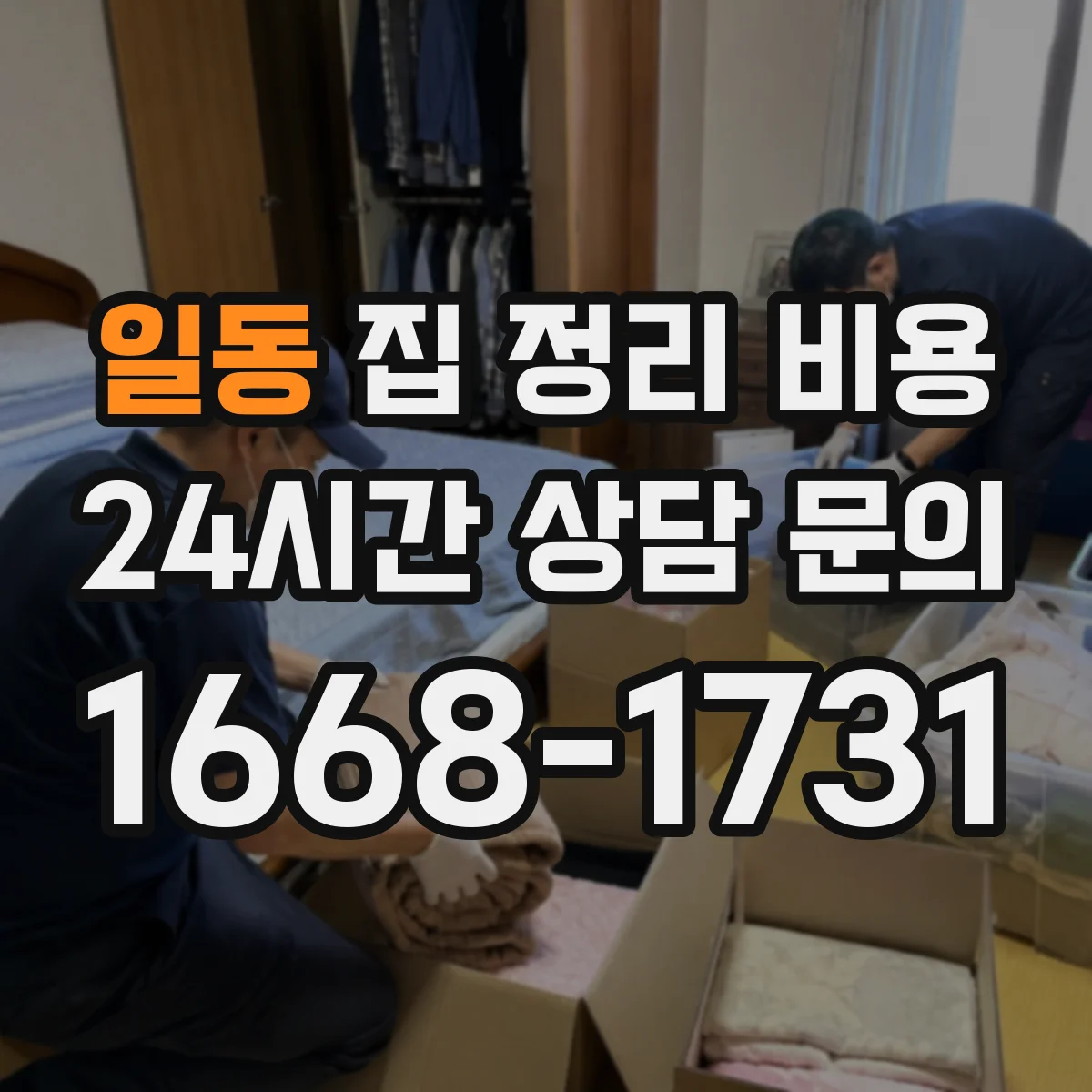 일동 집 정리 비용