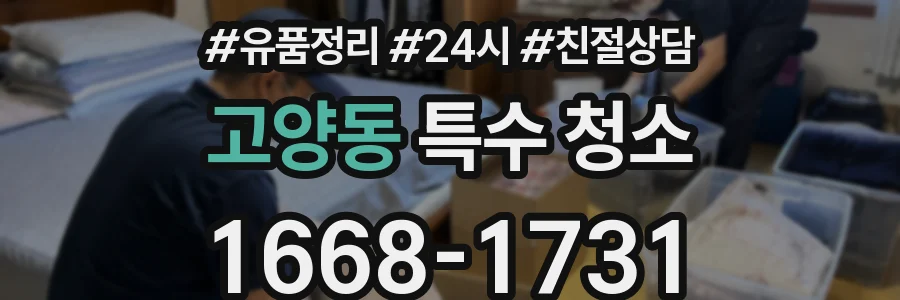 고양동 특수 청소