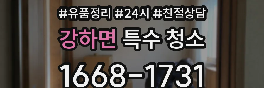 강하면 특수 청소