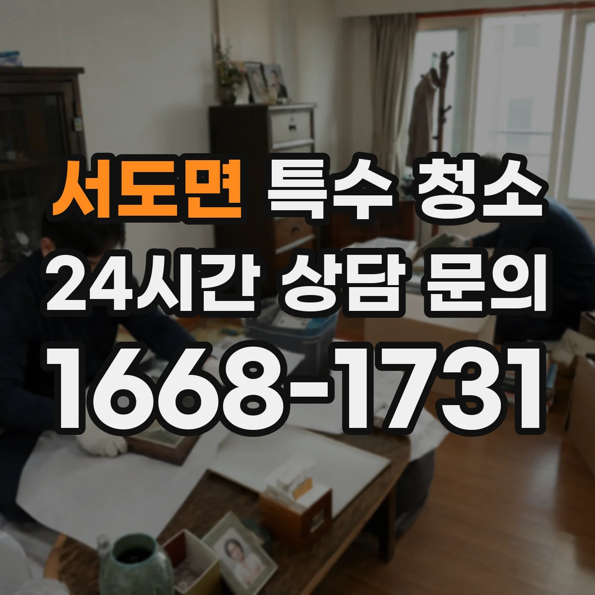 서도면 특수 청소