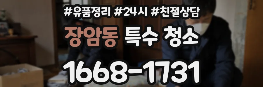 장암동 특수 청소