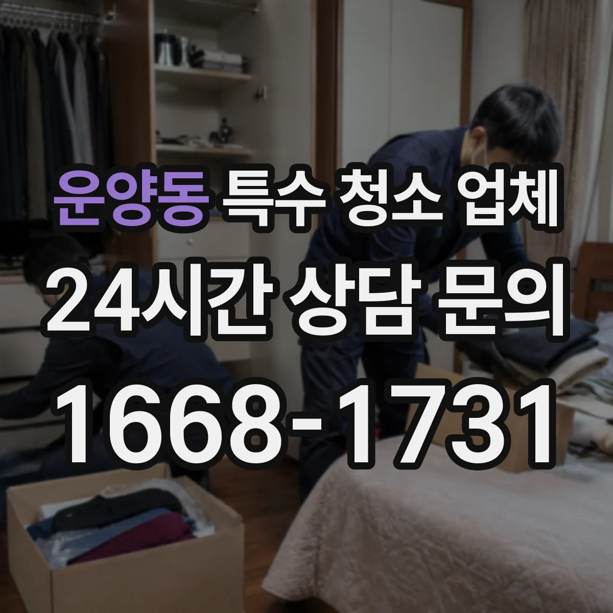 운양동 특수 청소 업체