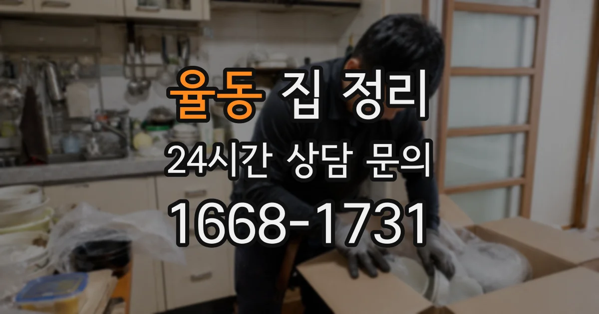 율동 집 정리