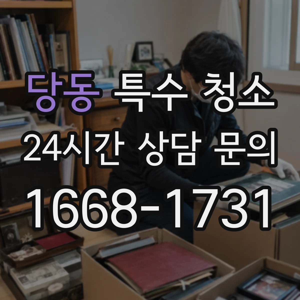 당동 특수 청소