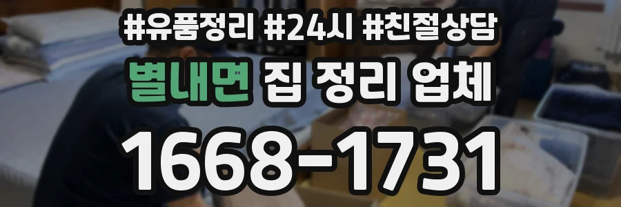별내면 집 정리 업체
