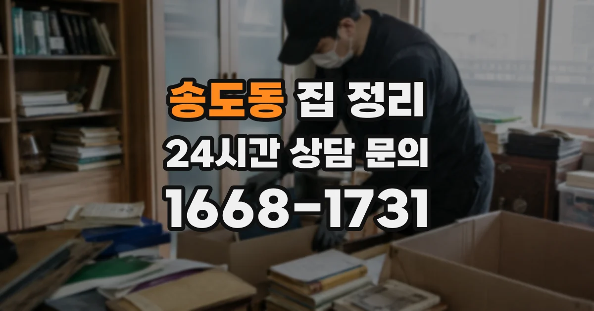 송도동 집 정리