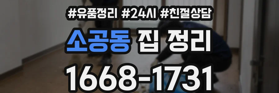 소공동 집 정리