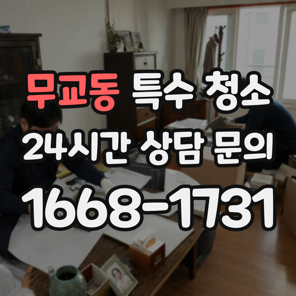 무교동 특수 청소