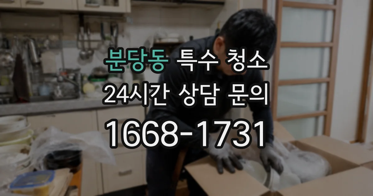 분당동 특수 청소