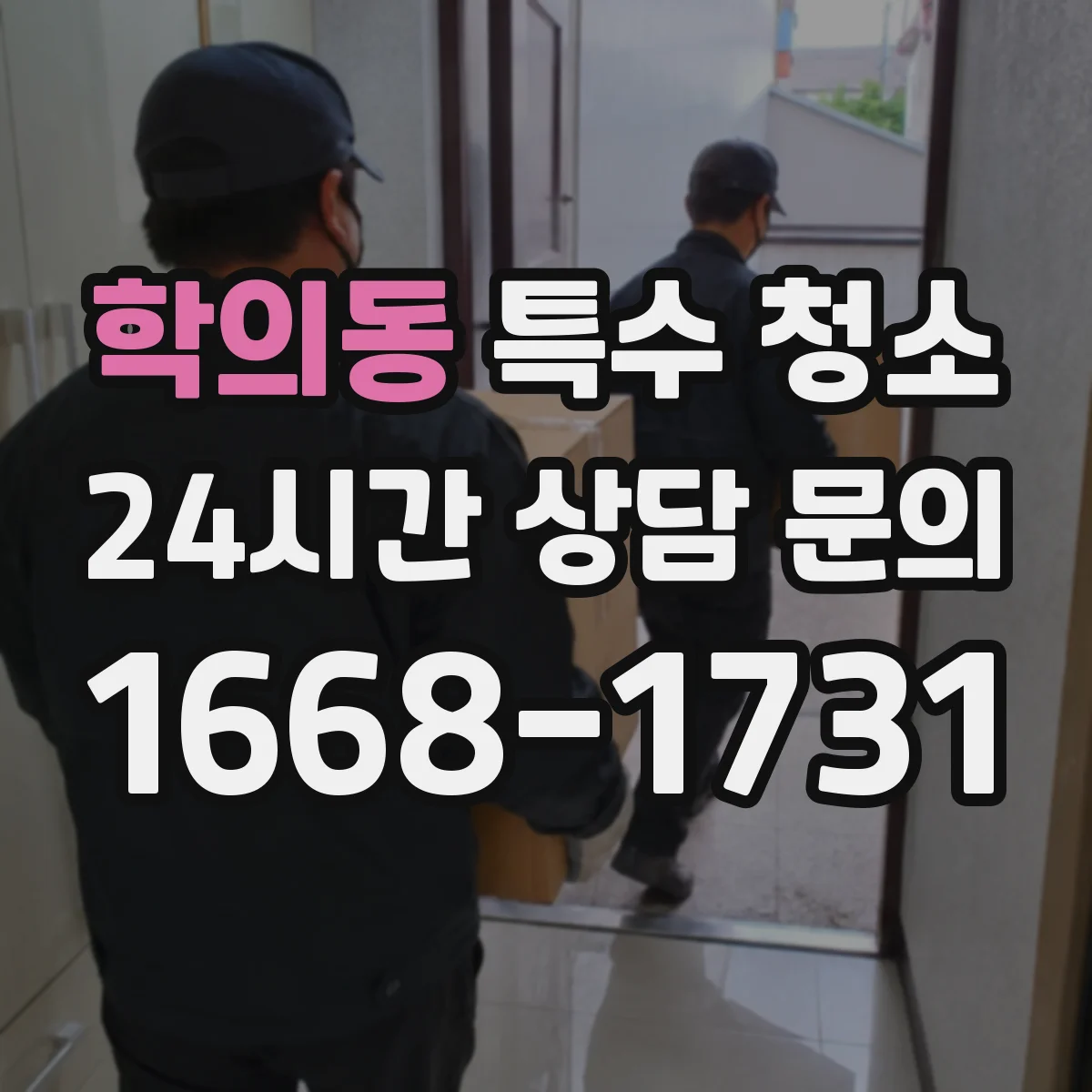 학의동 특수 청소