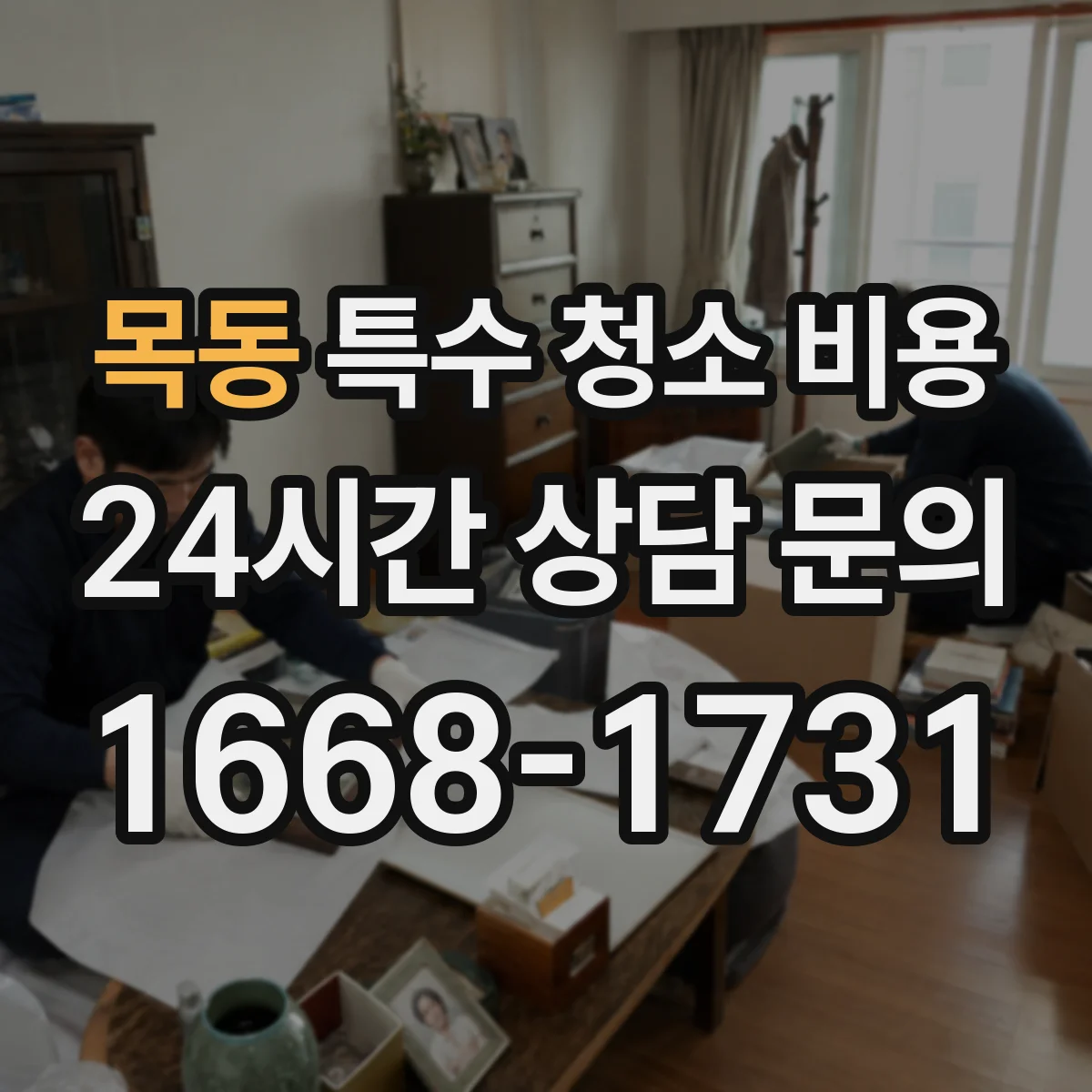 목동 특수 청소 비용