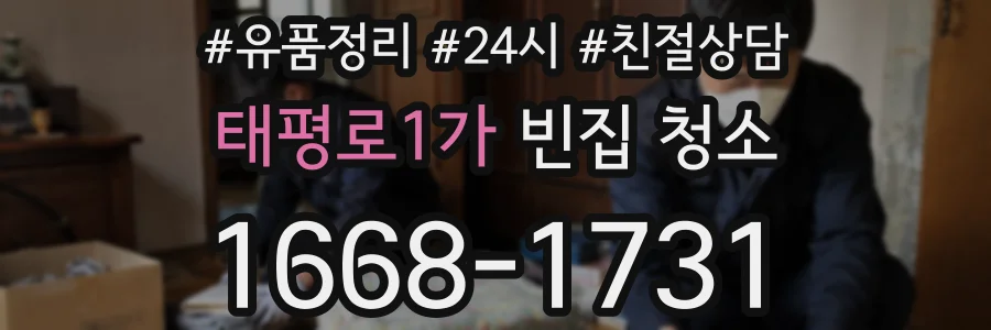 태평로1가 빈집 청소