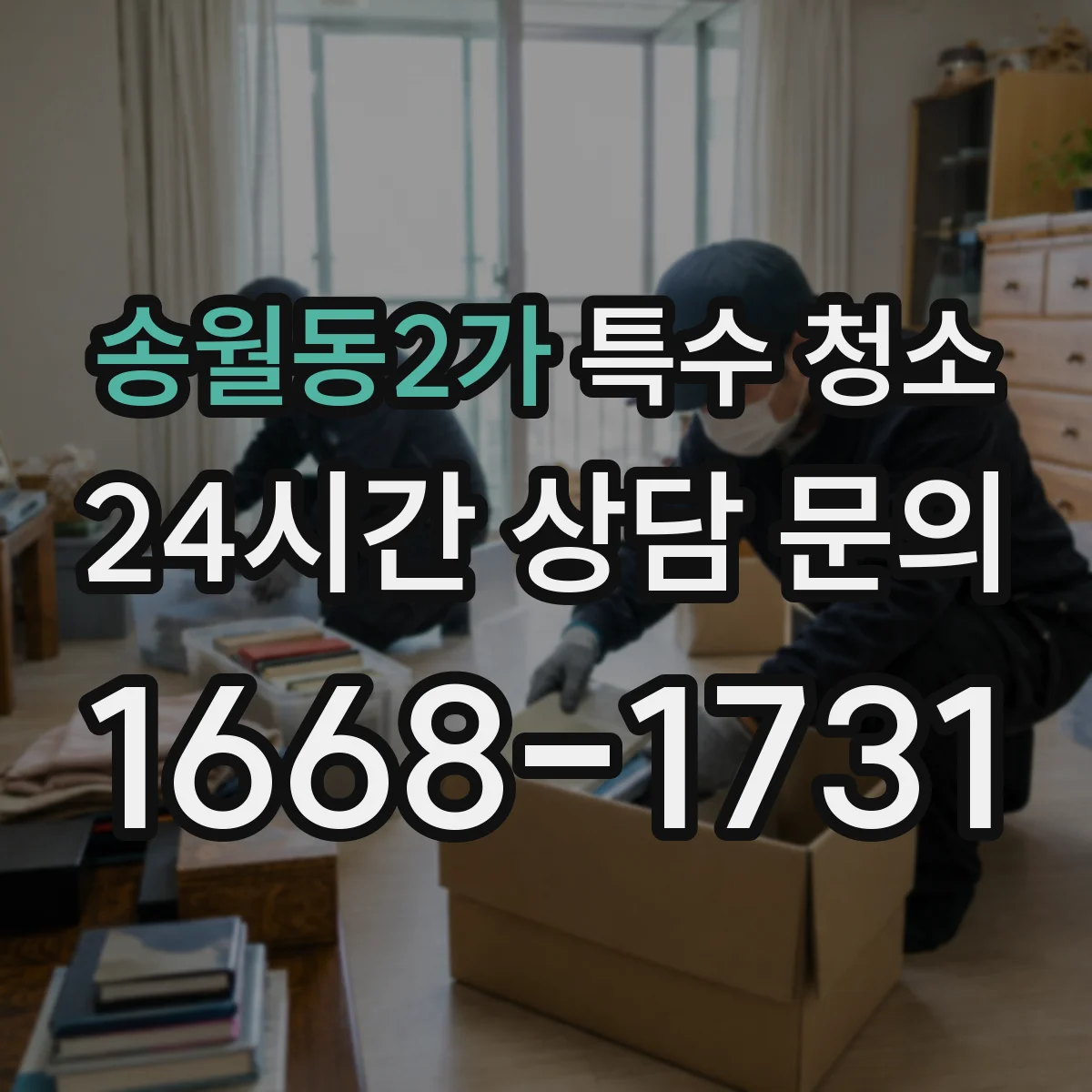 송월동2가 특수 청소