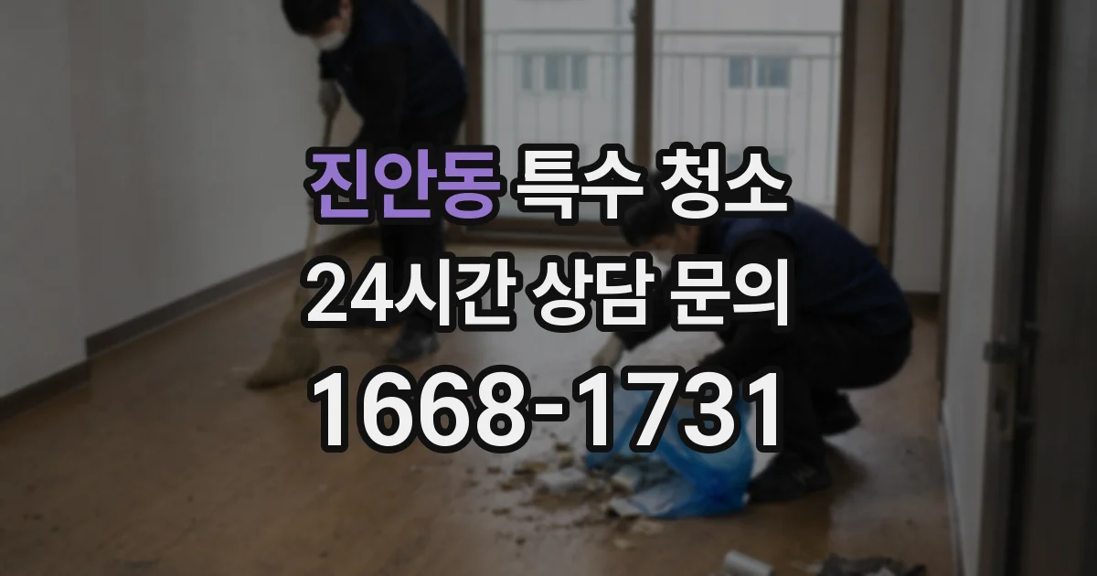 진안동 특수 청소