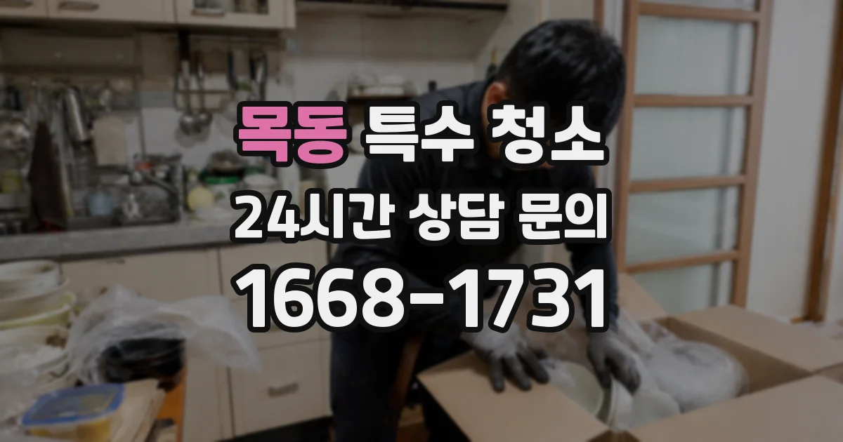 목동 특수 청소