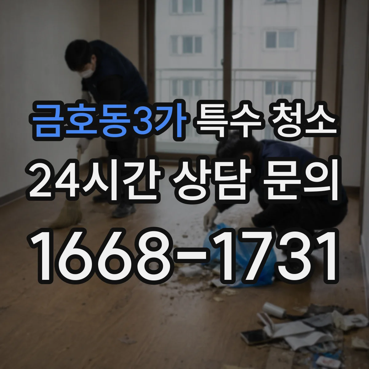 금호동3가 특수 청소